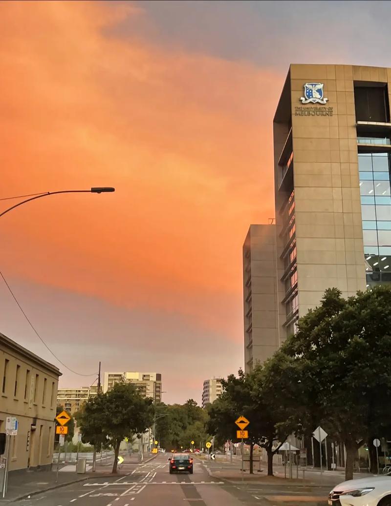 韩国外国语大学